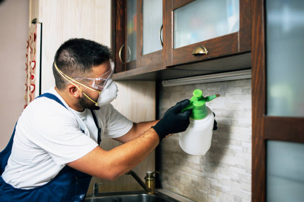 Best Local Pest Control Services  in Chesapeake Beach, MD