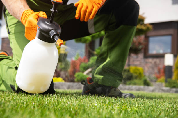 Bird Control in Chesapeake Beach, MD