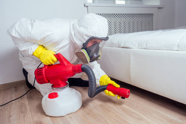 Best Pest Inspection Near Me  in Chesapeake Beach, MD